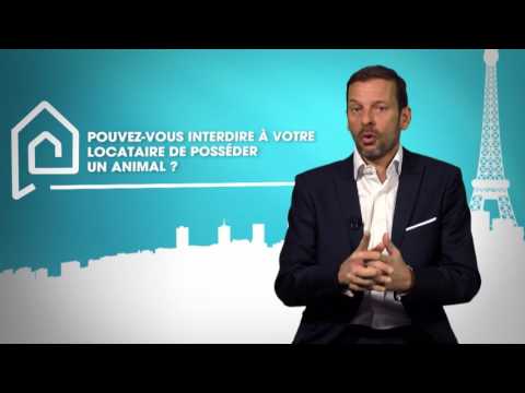 Pouvez-vous interdire à votre locataire de posséder un animal ?
