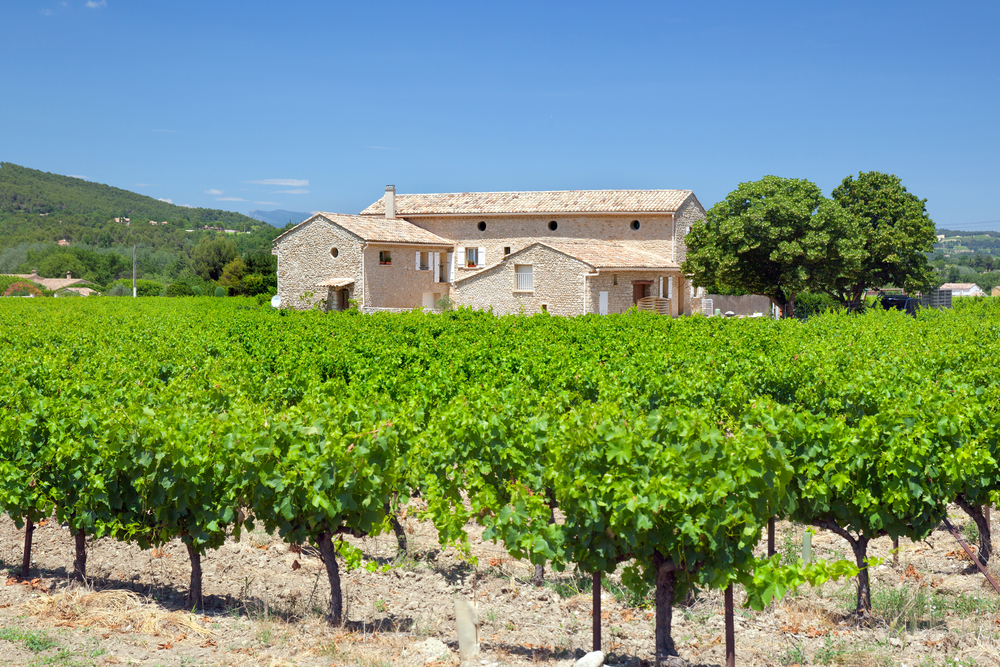 Immobilier en Provence