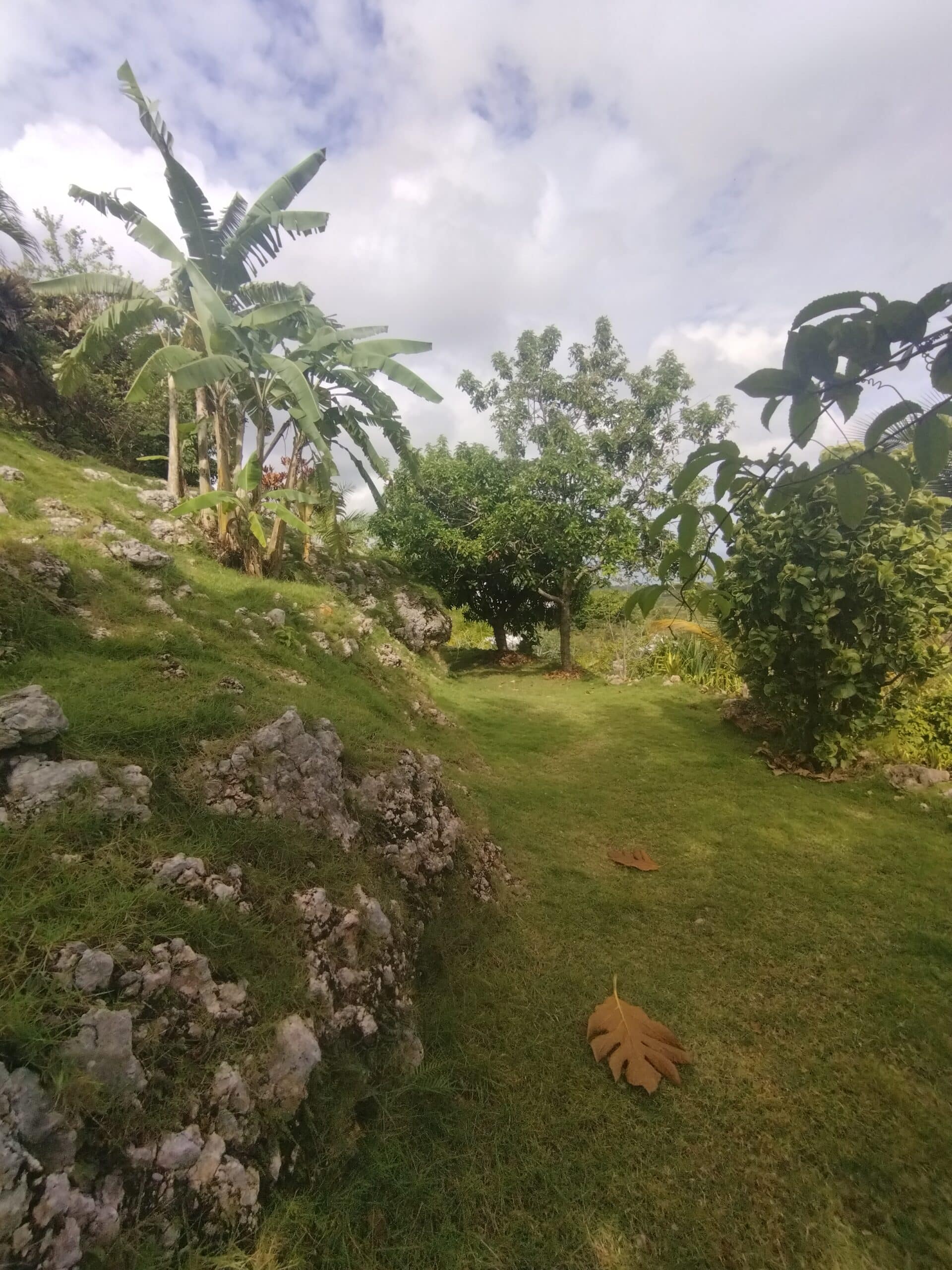 Maison à vendre – République Dominicaine