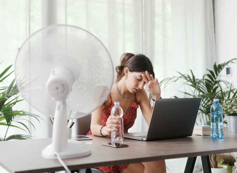 lutter contre la canicule