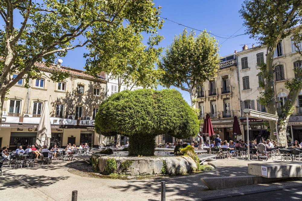 Salon de Provence, d'azur et d'or