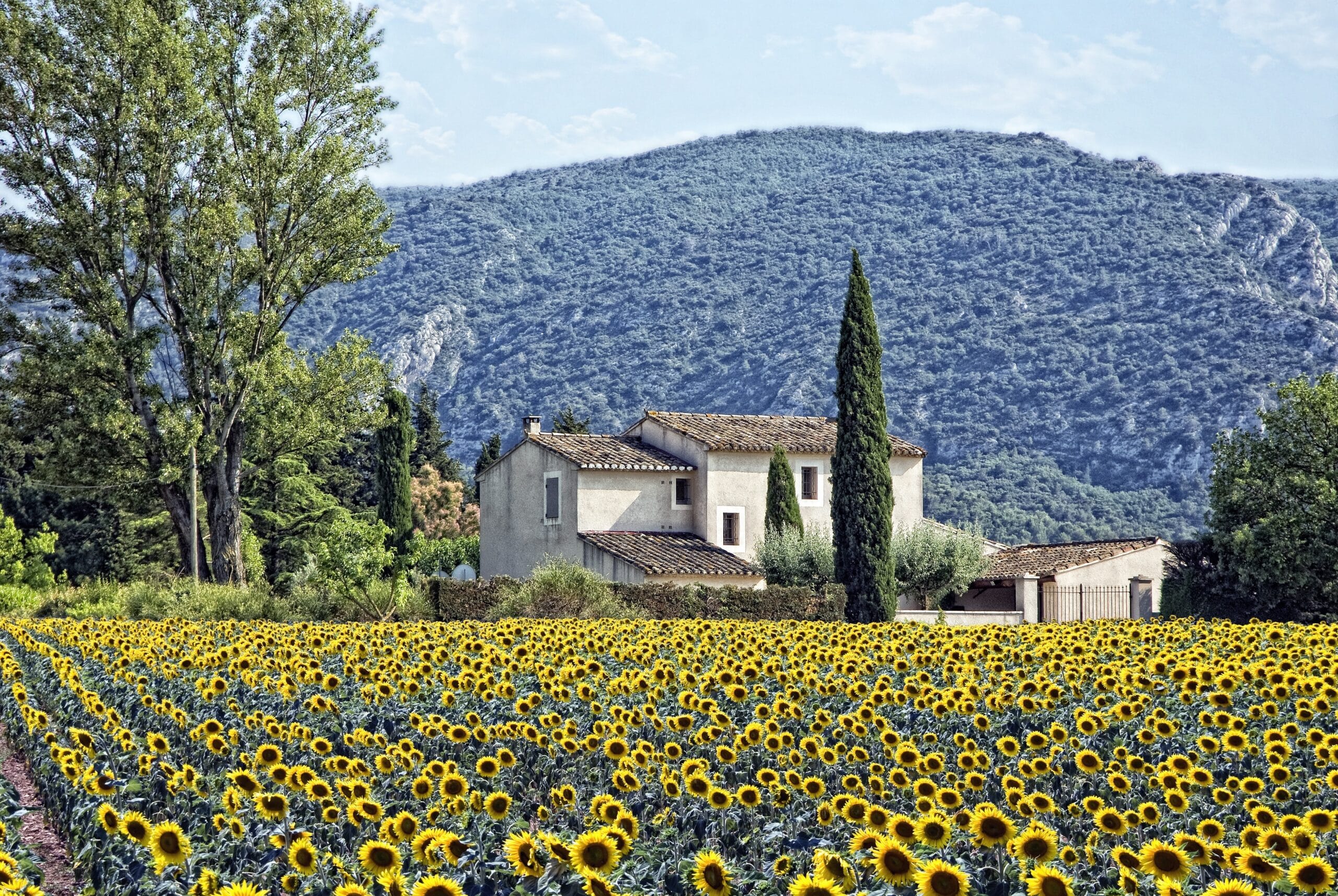 Maisons de campagne : le rêve vert