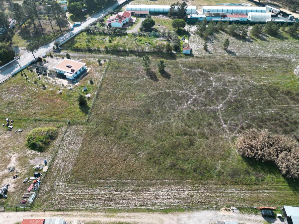 Land Alcacer do Sal