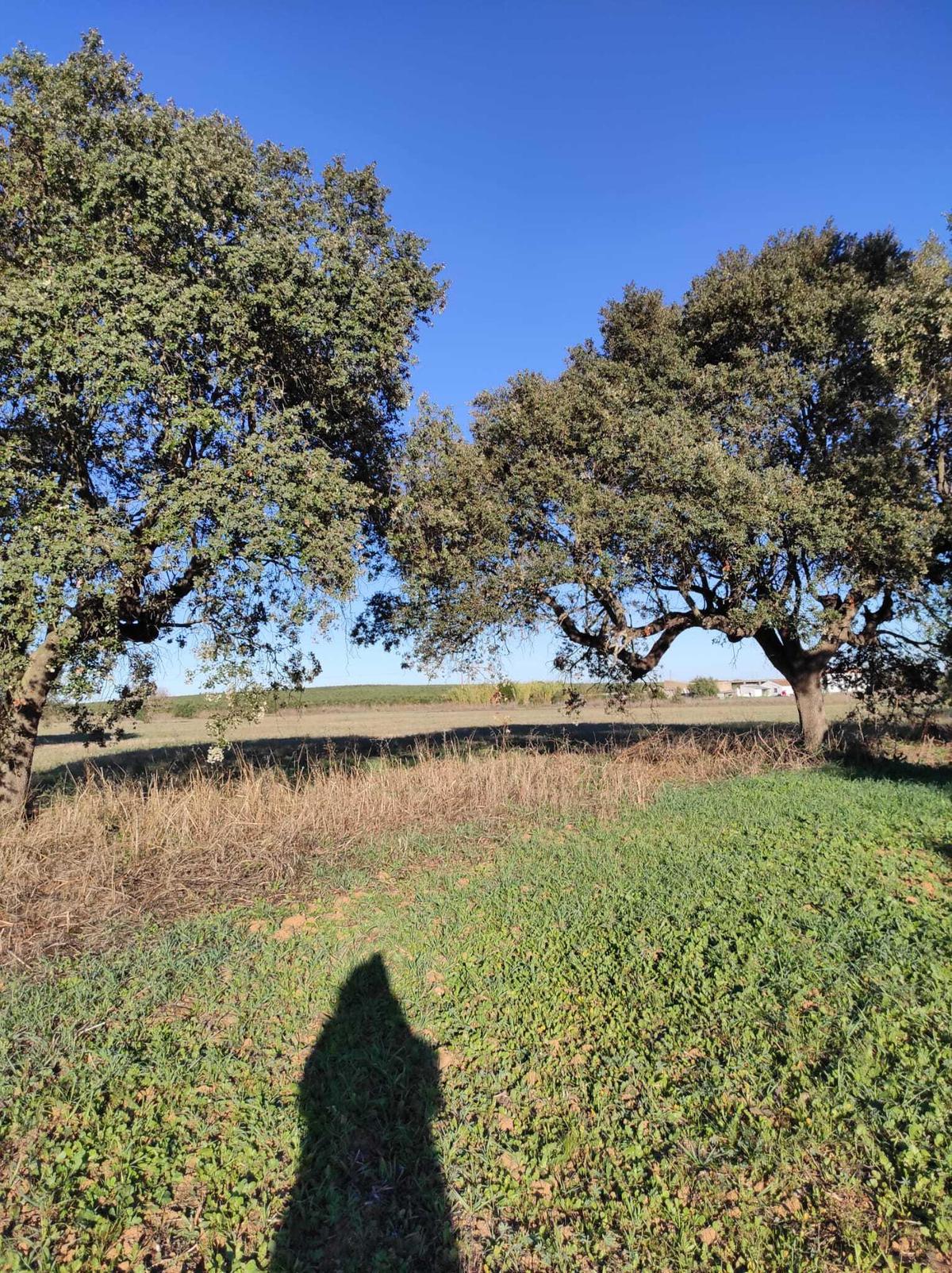 Farm