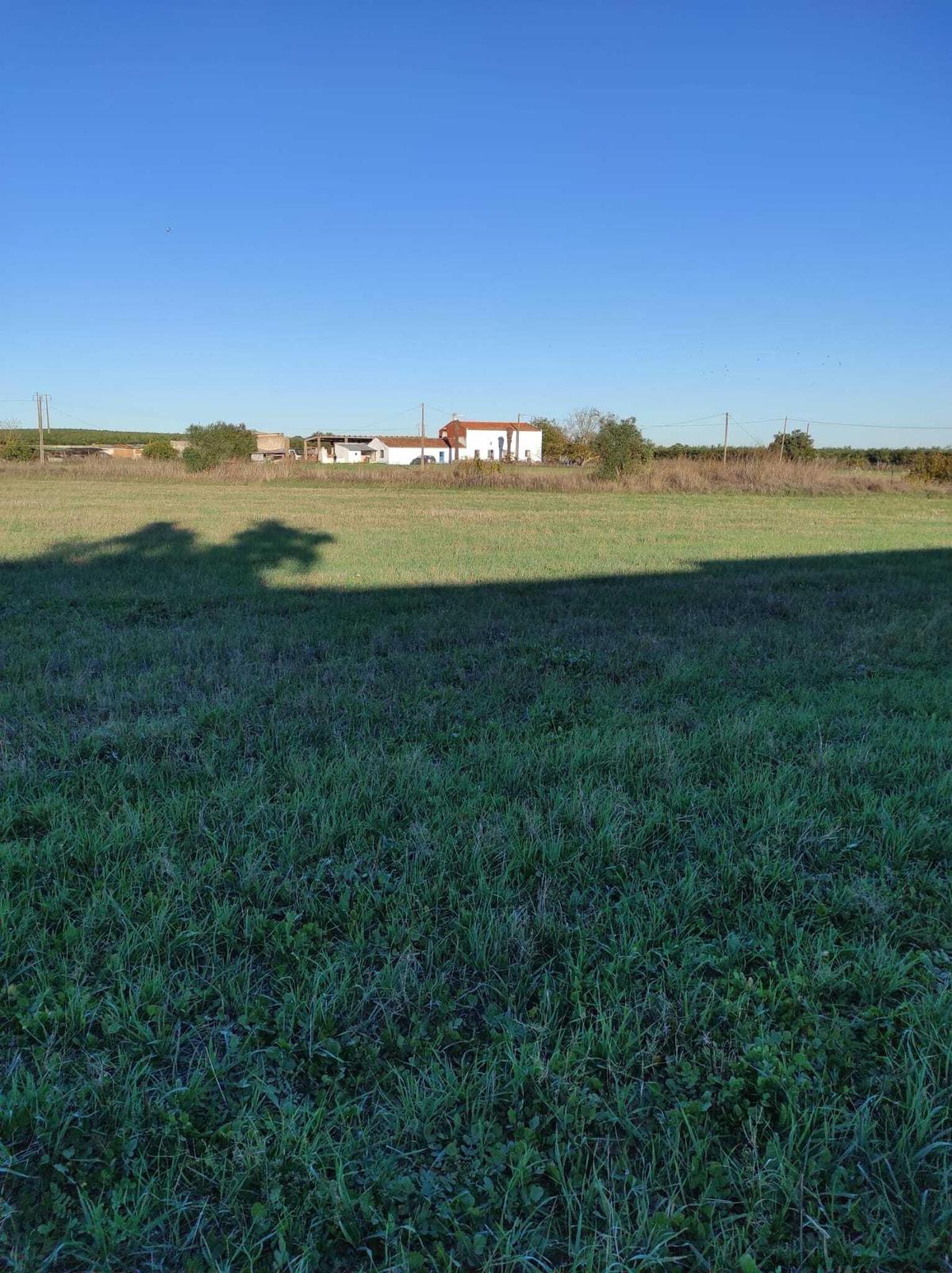Farm