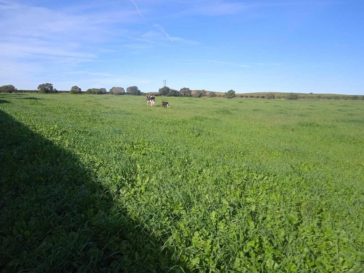 Farm