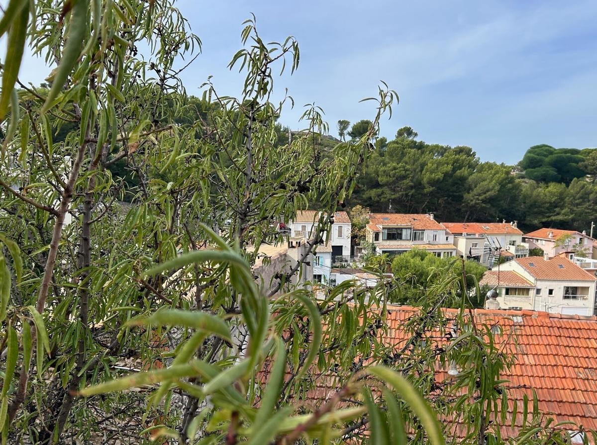 ROUCAS WHITE – SEA VIEW HOUSE T5