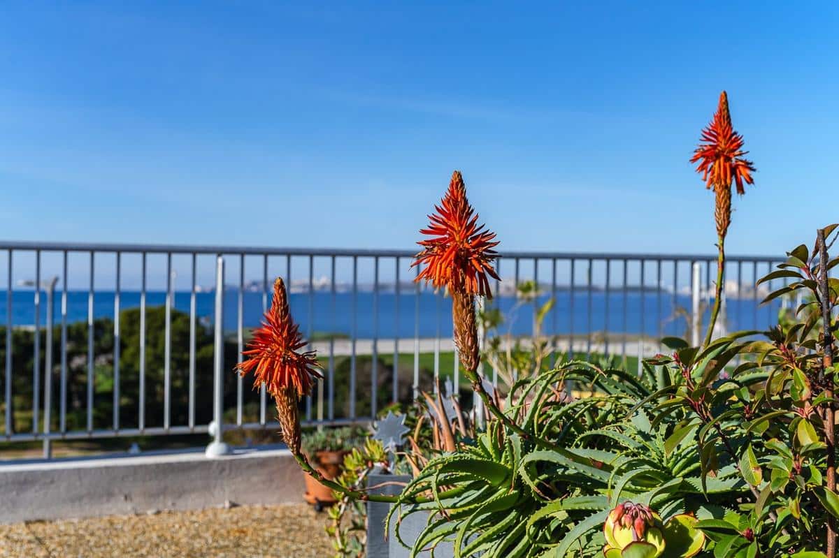 EXCLUSIVITE MARSEILLE 13008 QUARTIER LA PLAGE VUE ET PROXIMI