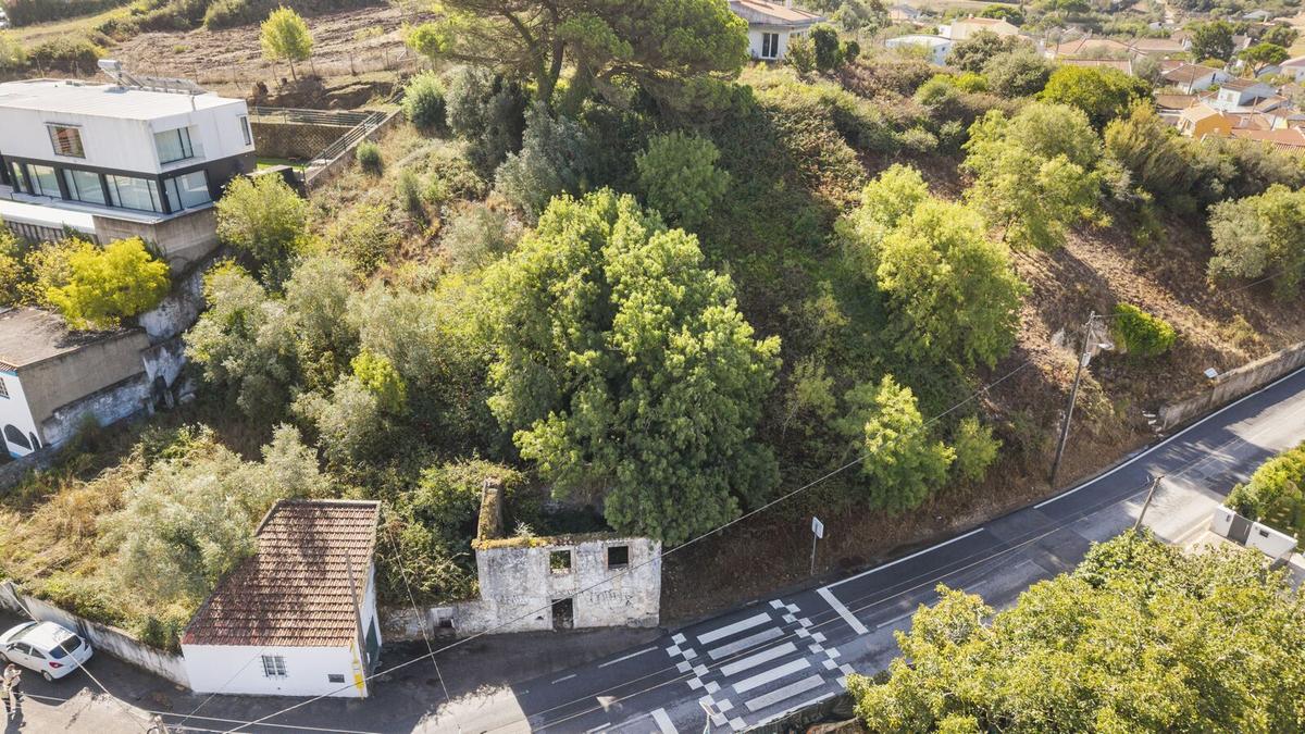 Land Sintra