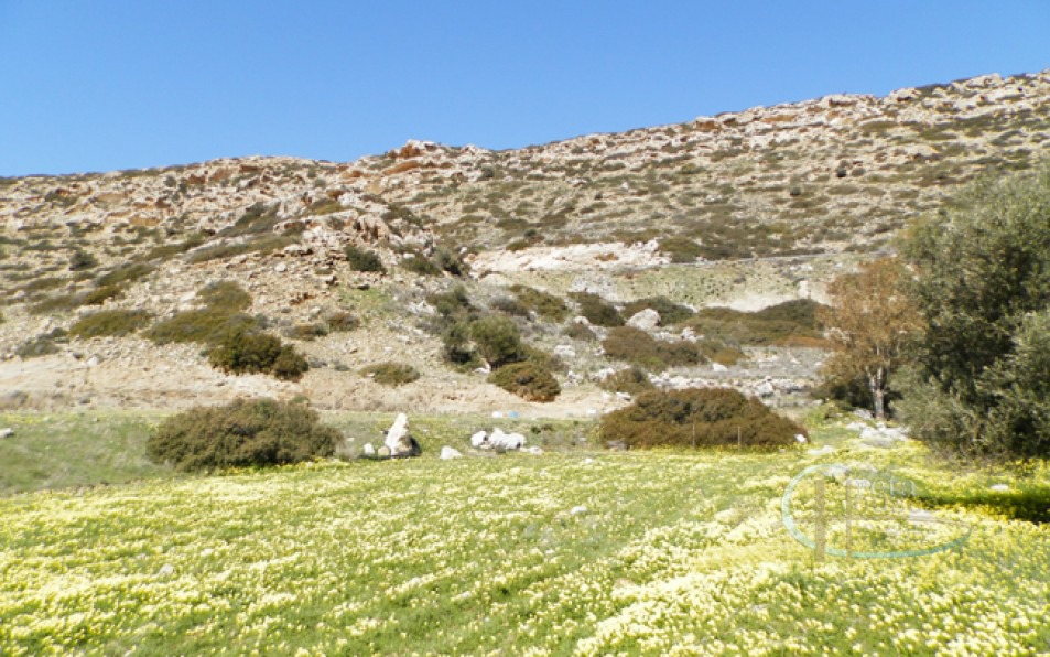 Matala sud Crète Terrain constructible