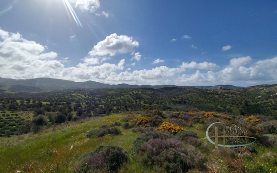Pitsidia sud de la Crète Grand terrain à bâtir avec vue panoramique
