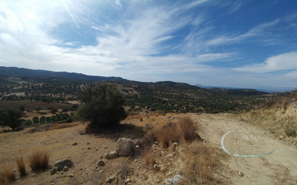 Sivas au sud de la Crète Terrain dans un cadre rural avec vue sur la mer